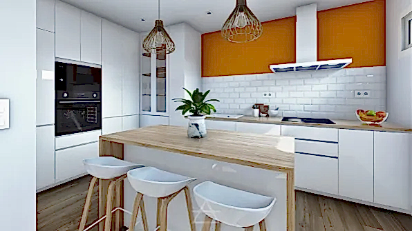 REFORMA SANCTI PETRI