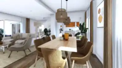 REFORMA SANCTI PETRI