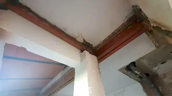 REFORMA SANCTI PETRI