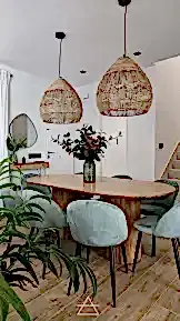 REFORMA SANCTI PETRI