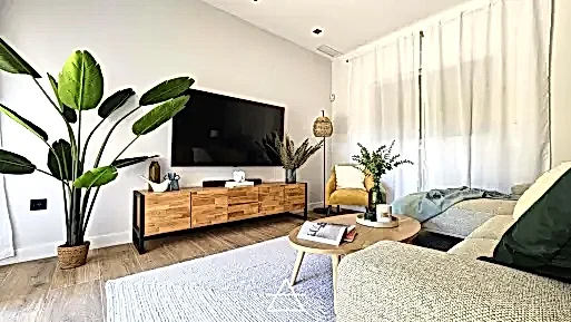 REFORMA SANCTI PETRI