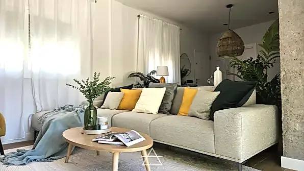 REFORMA SANCTI PETRI