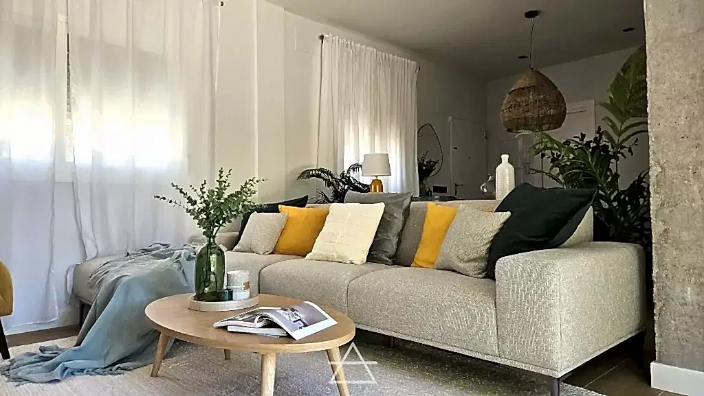 REFORMA SANCTI PETRI