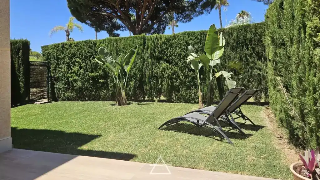 REFORMA SANCTI PETRI